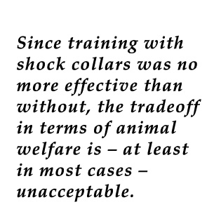 Illustration for article titled The Science of Dog Training: Is It Okay To Use A Shock Collar?